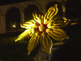 flora amarilla hiinchable
