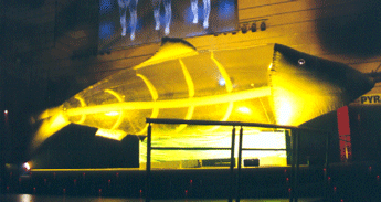 pez-de-12-m.-con-luz hinchable